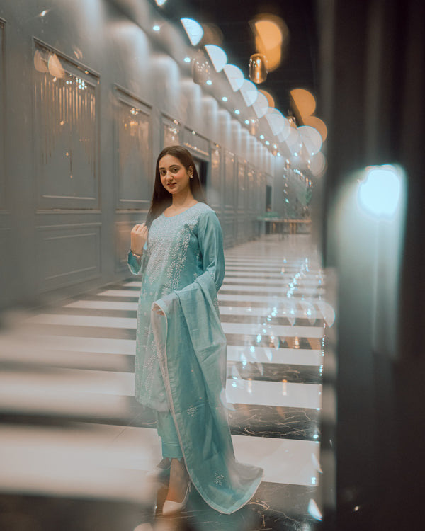 Sky Blue HandEmbroidered & Mirror Work Dress.