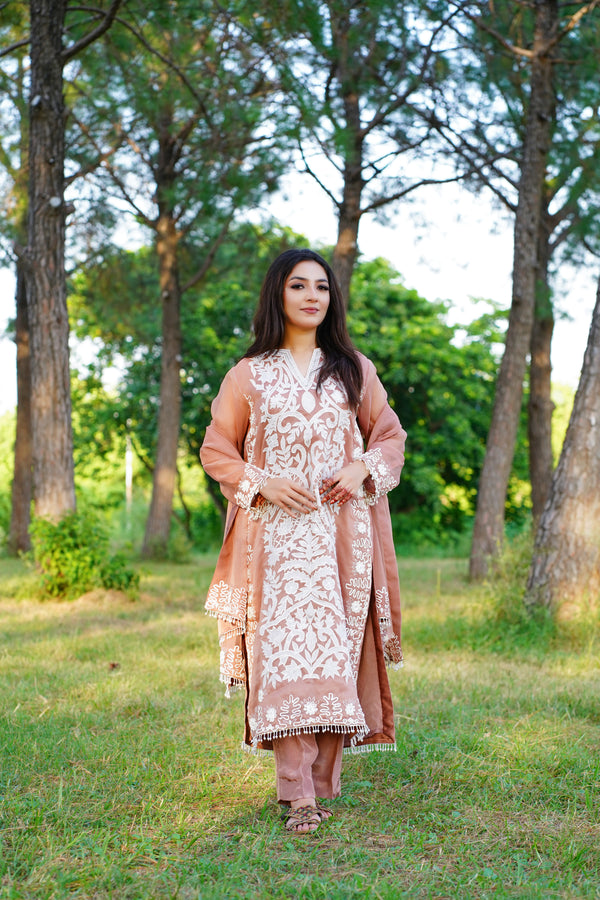 Intricate white cutwork and 3d embroidery on organza shirt and dupatta borders