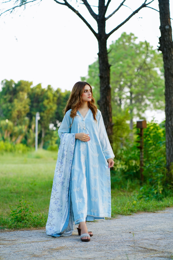 Stunning Sky Blue Rayon Silk Embroidered Dress