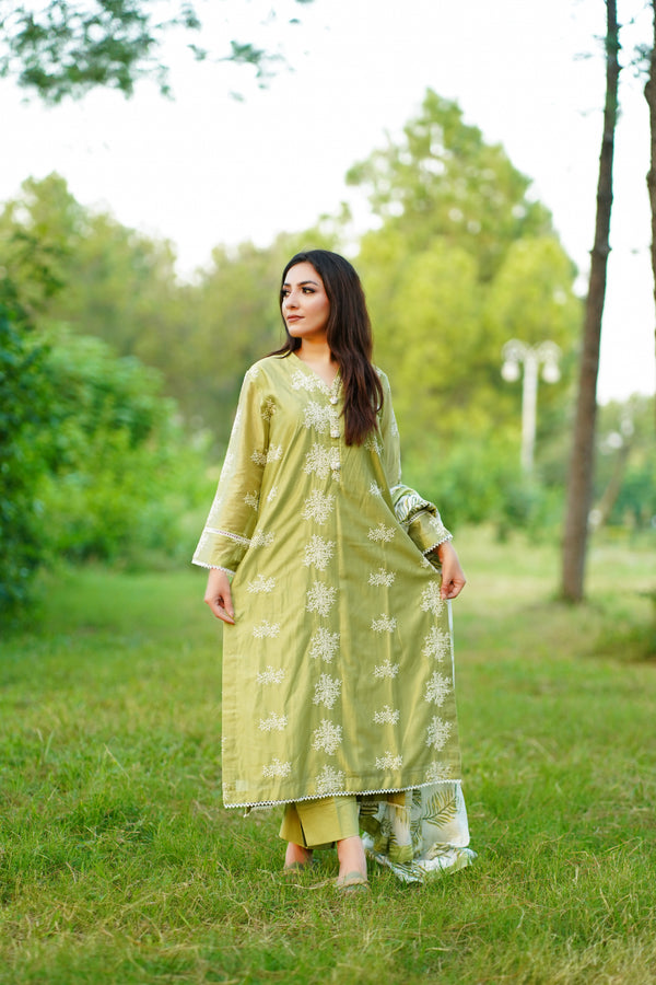 Stunning Apple Green Rayon Silk Embroidered dress