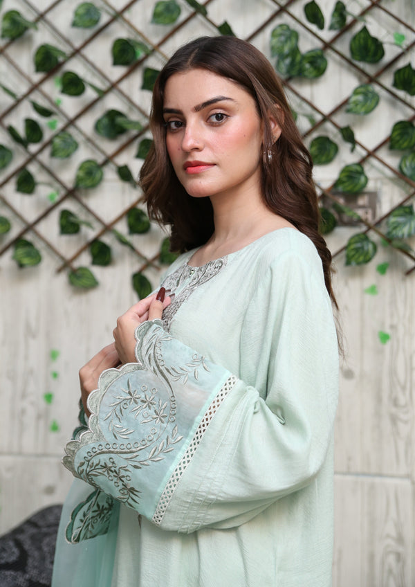 Mint Green Embroidered Party Wear Dress - Umm E Ayesha Stitchline